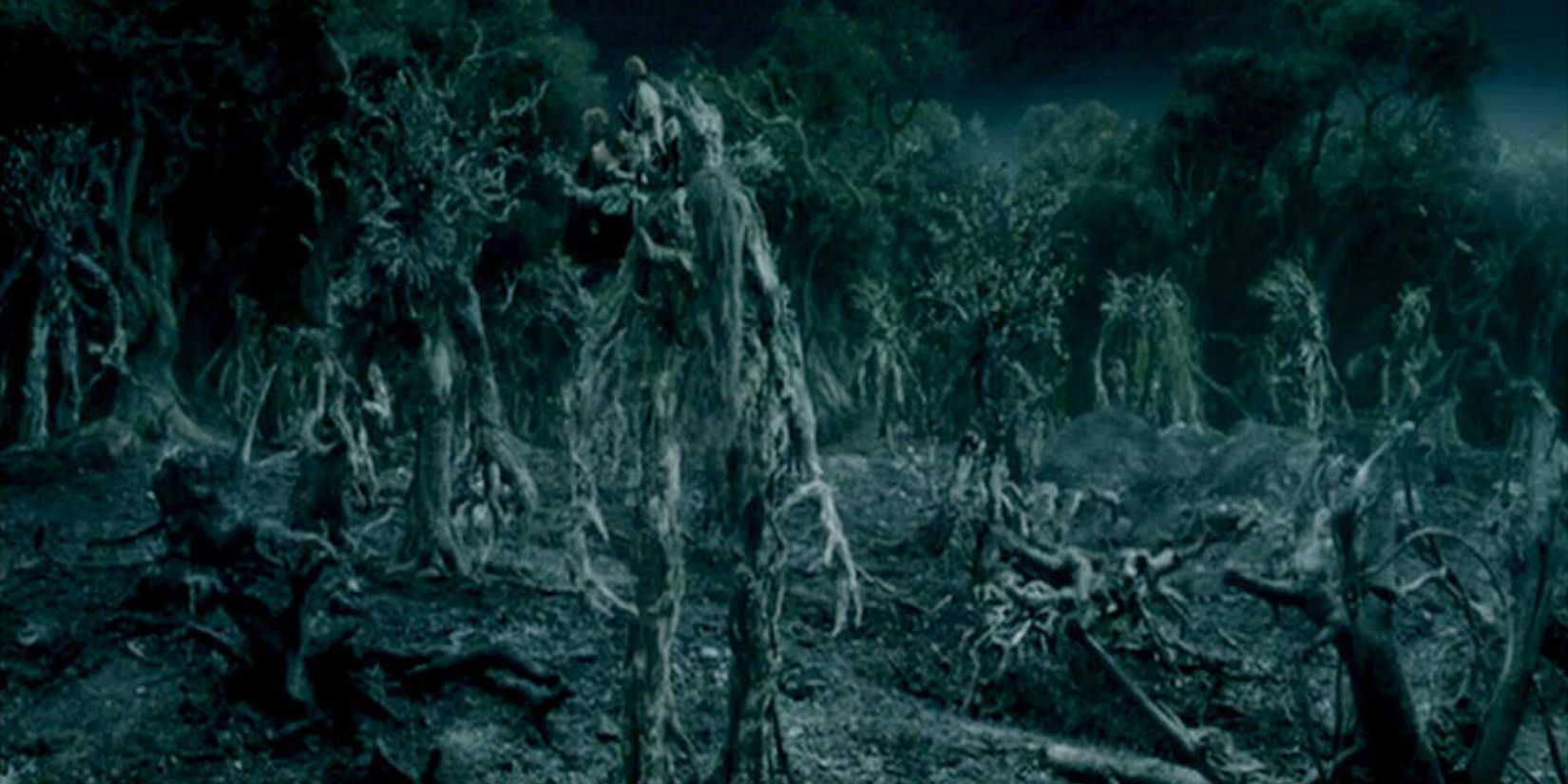 Ent Treebeard Best Scenes From The Lord of the Rings Trilogy