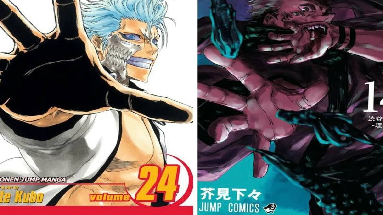 BLEACH Vol 24 and JUJUTSU KAISEN Vol 14 Comparison