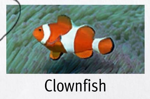 lad infinite wealth certificate