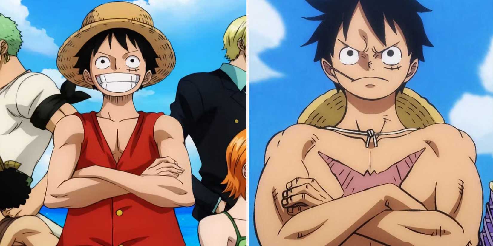 luffy one piece pre and post timeskip