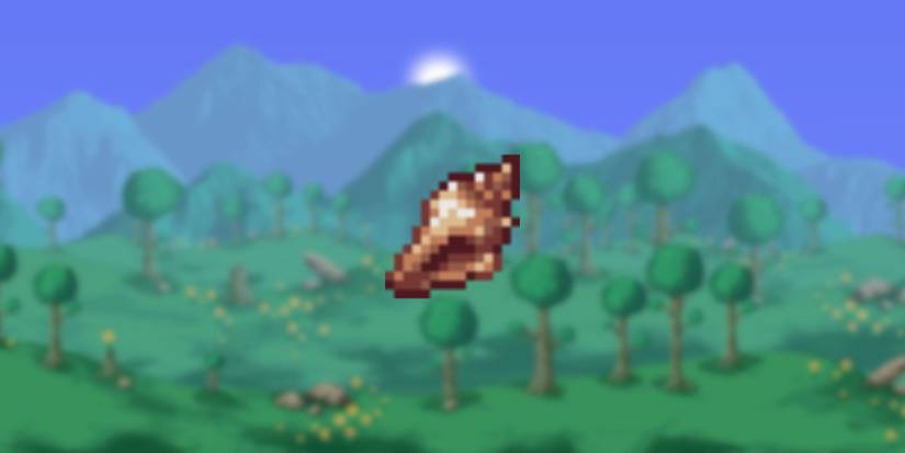 Magic Conch in Terraria