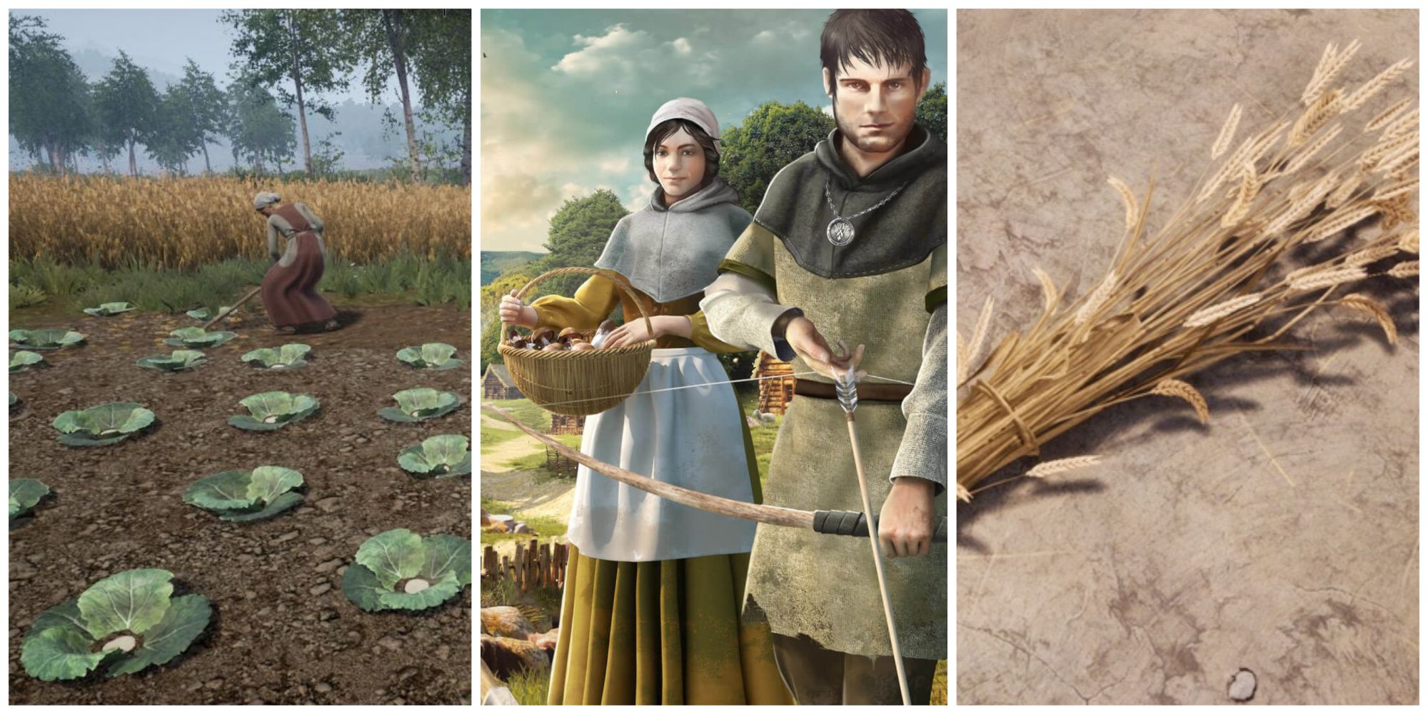 medieval dynasty best crops