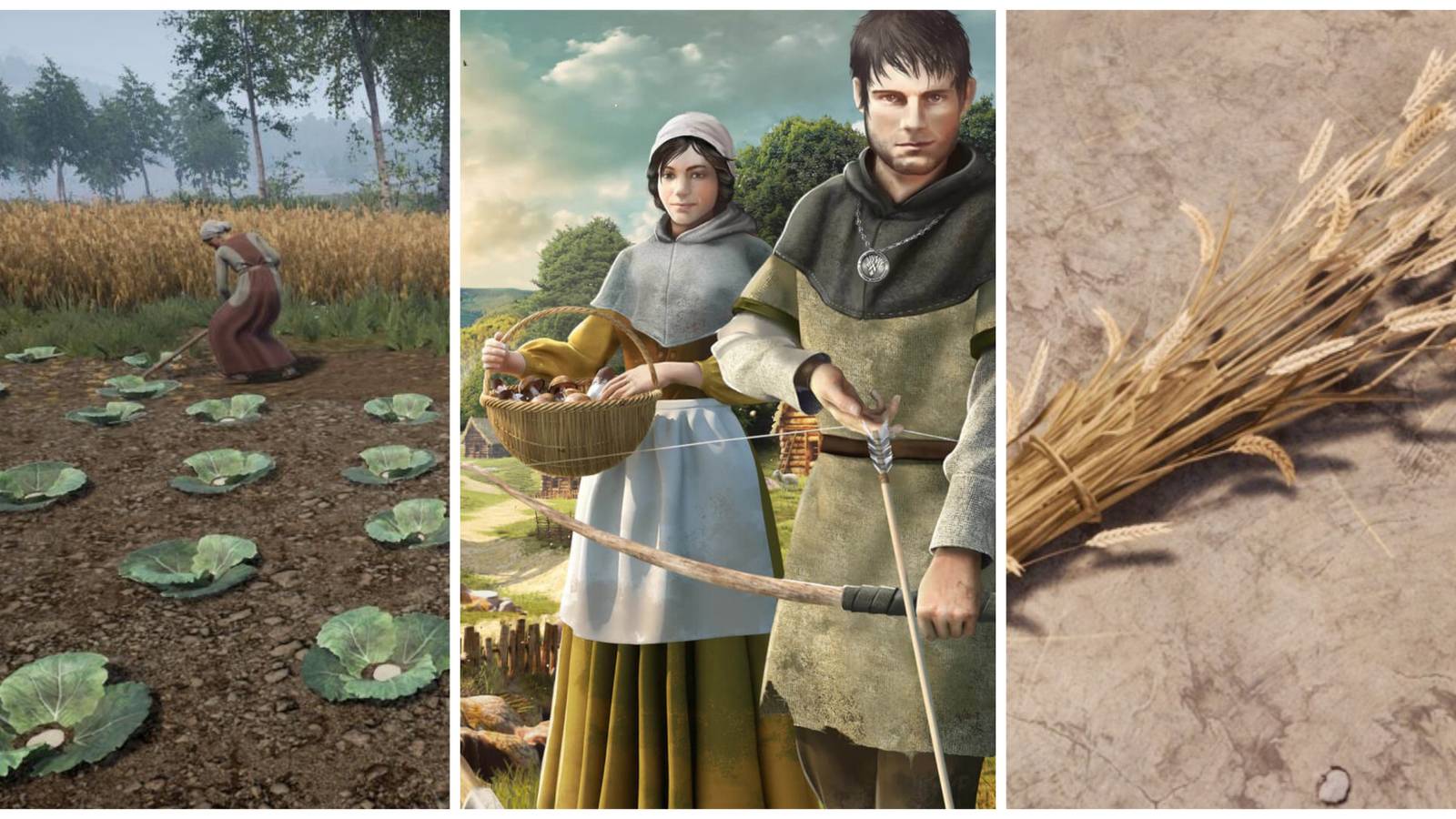 medieval dynasty best crops