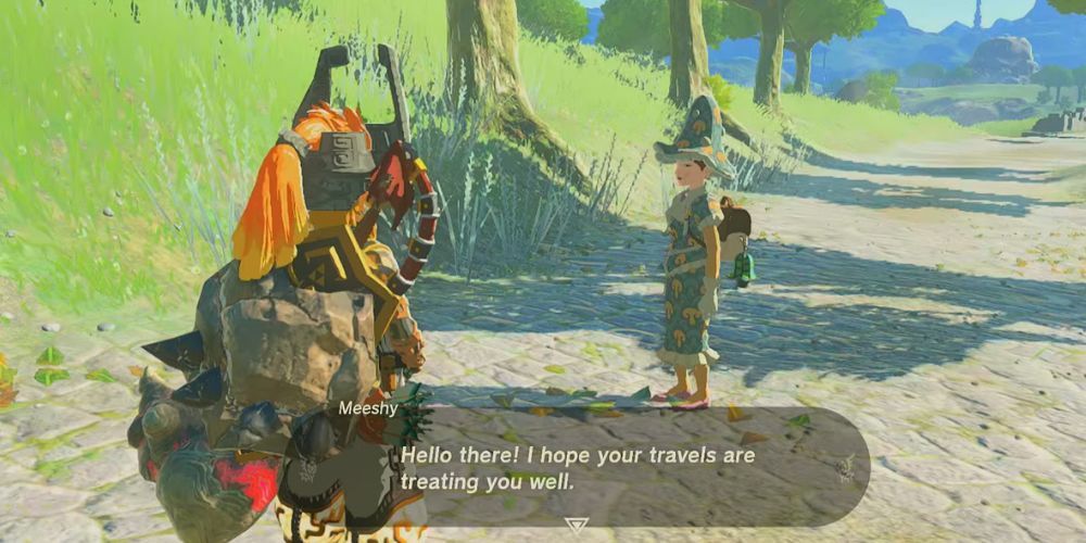 Meeshy and Link in Zelda: Tears of the Kingdom.