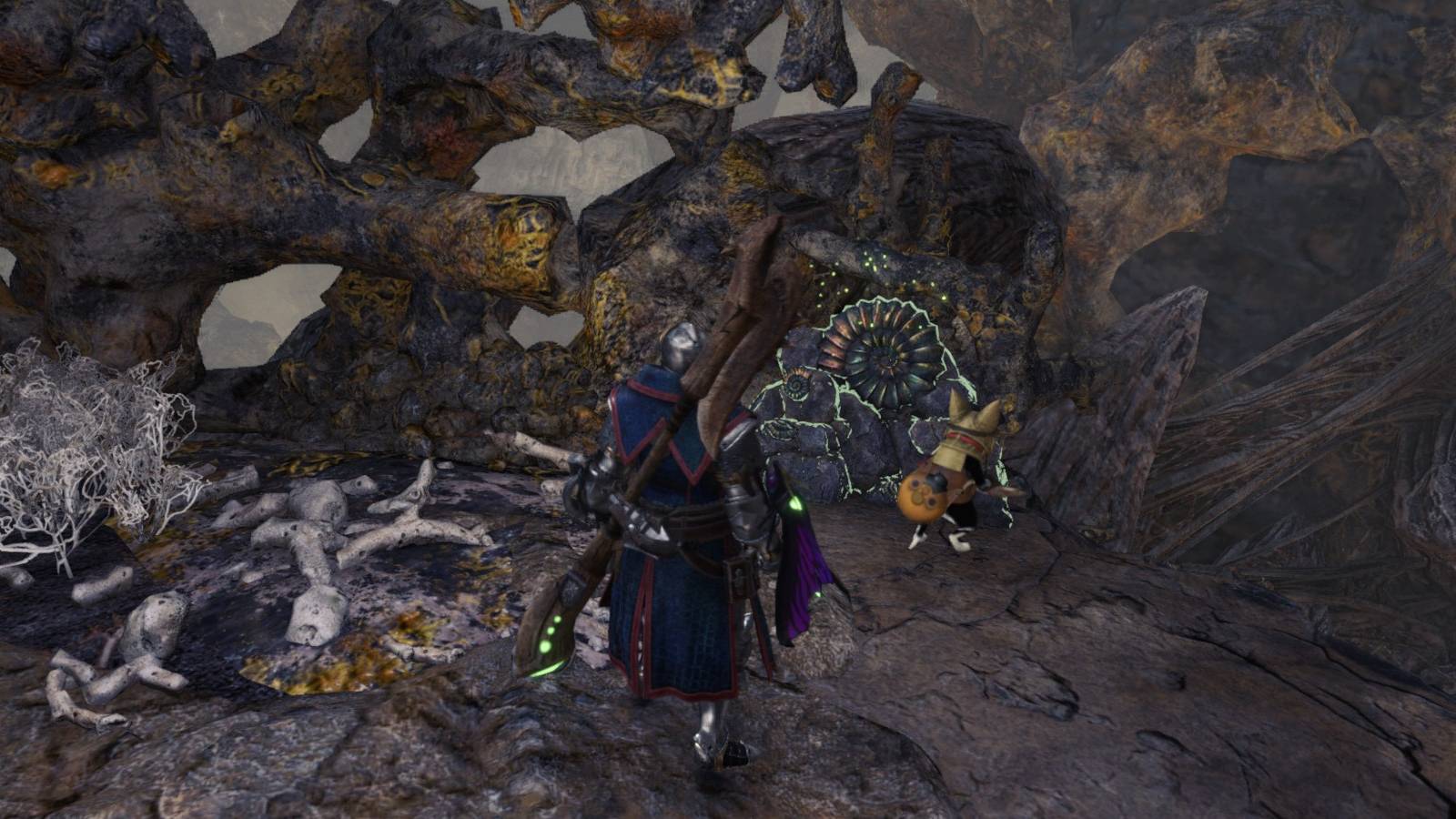 mhw forgotten fossils location