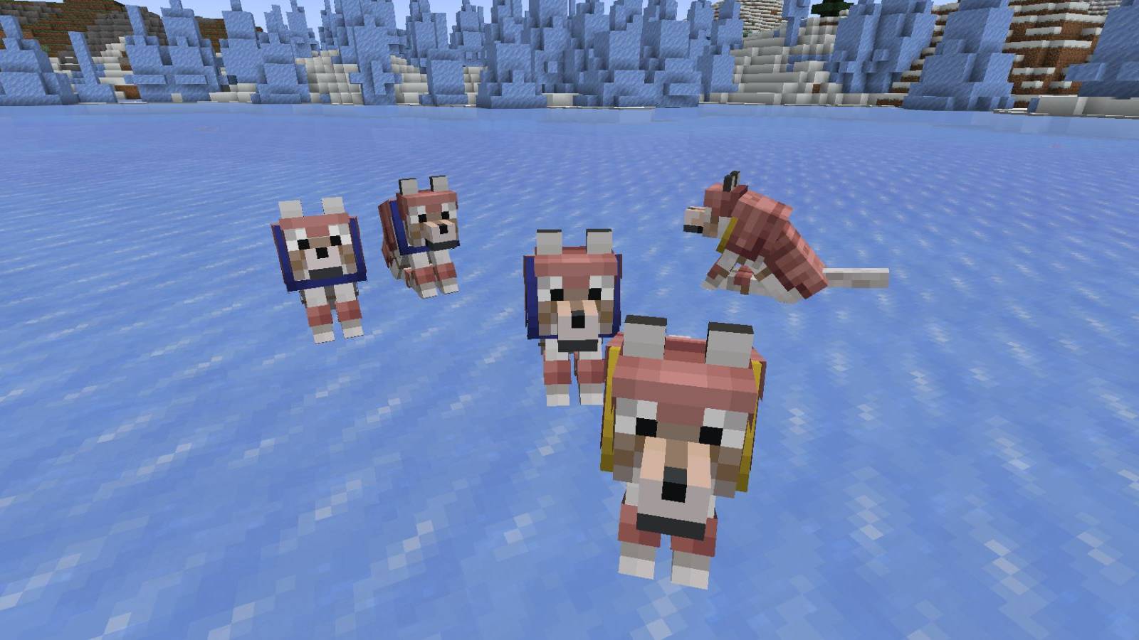 Minecraft 1.21 How to Make Wolf Armor