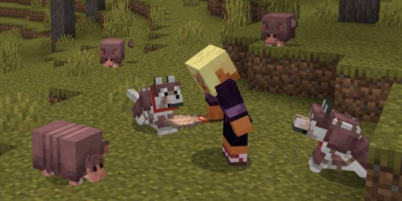 Minecraft player with an awesome skin