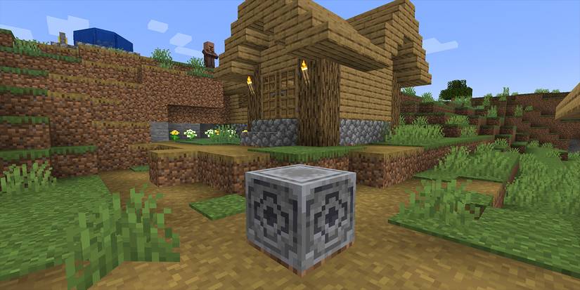 Minecraft Lodestone in a village