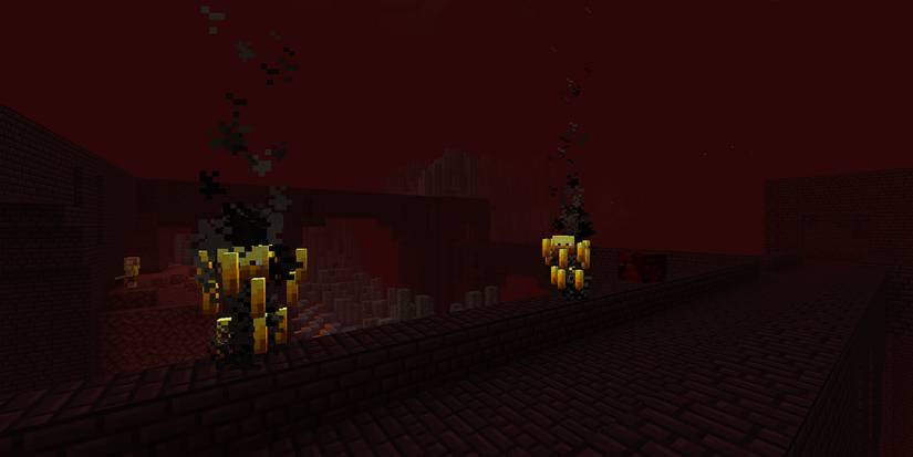 Minecraft Nether Fortress Blaze Magma Cube