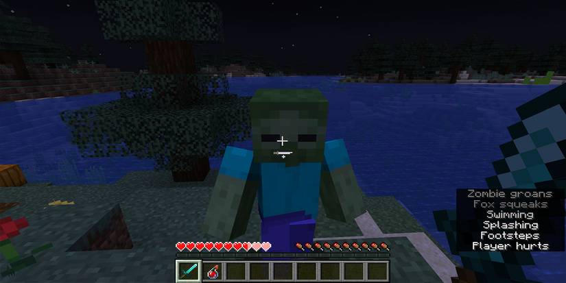 Minecraft Potion Healing