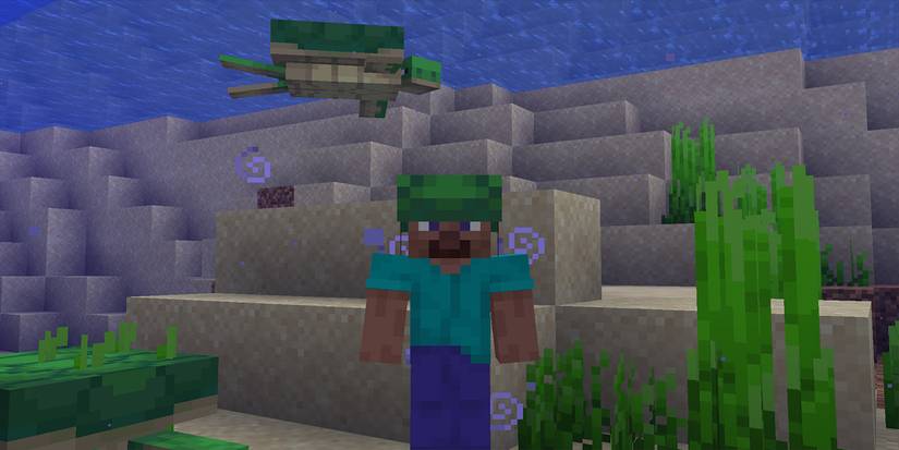 Minecraft Potion Turtle Master Turtles Swimming