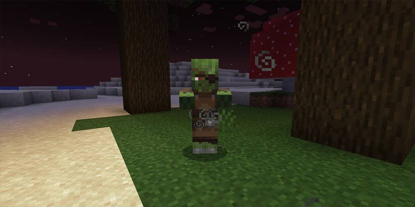 Minecraft Zombie Villager Weakened