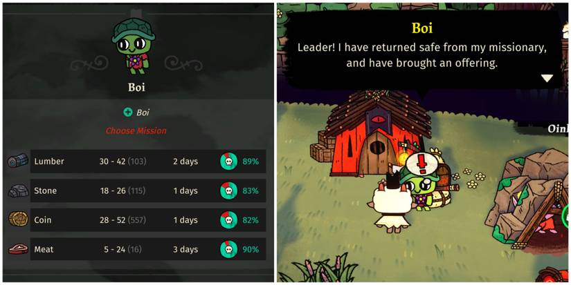 successful mission missionary