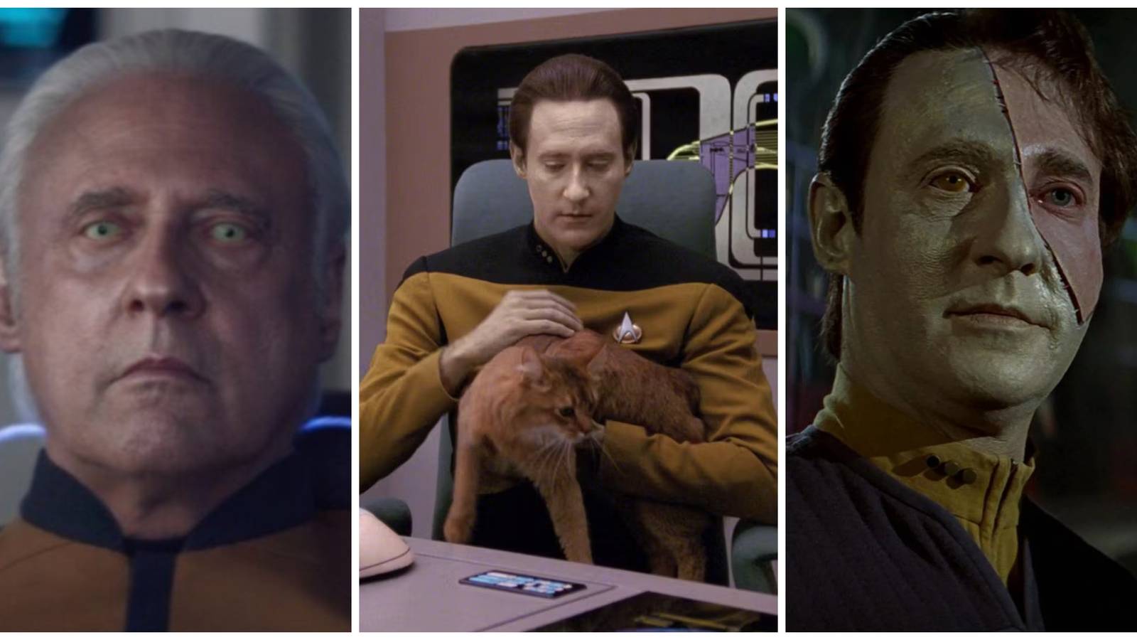 data in star trek picard, star trek the next generation, star trek first contact