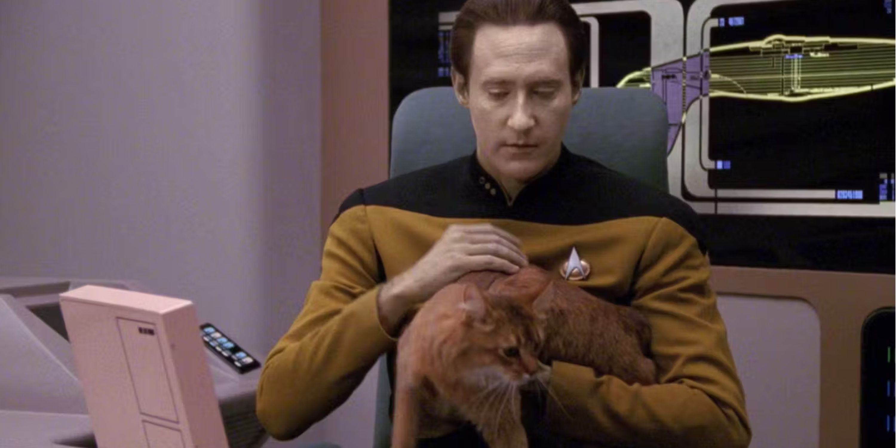 data and his cat spot