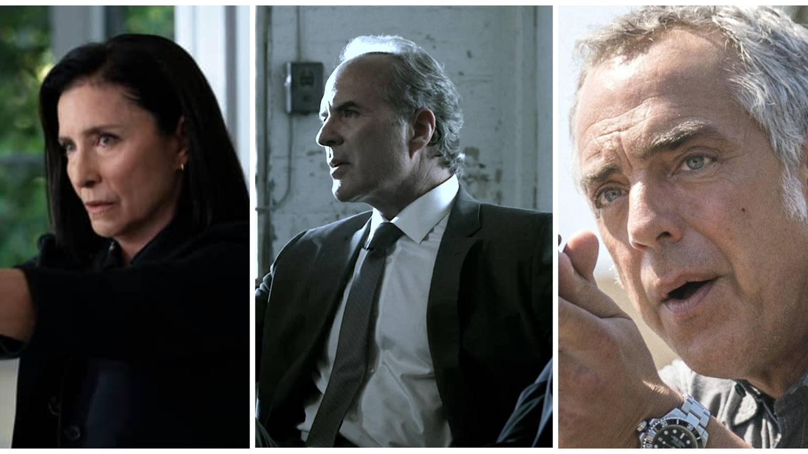 chandler/rogers/bosch