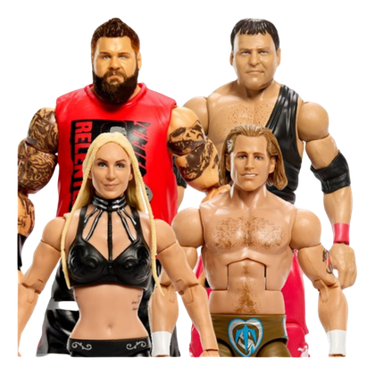 WWE Survivor Series Elite Action Figure Case of 5 - Exclusive