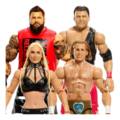 WWE Survivor Series Elite Action Figure Case of 5 - Exclusive