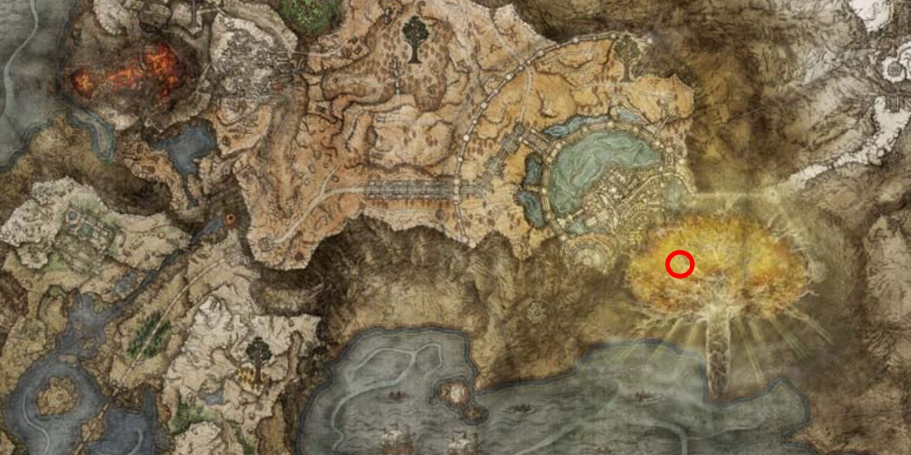  Morgott, the Omen King location on the map in Elden Ring