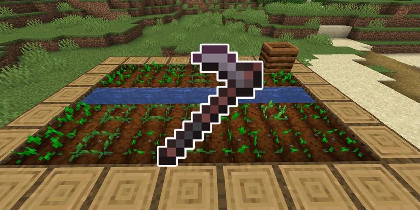 Netherite Hoe in front of a farm