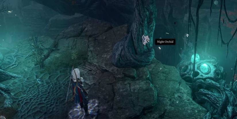 Night Orchids in BG3