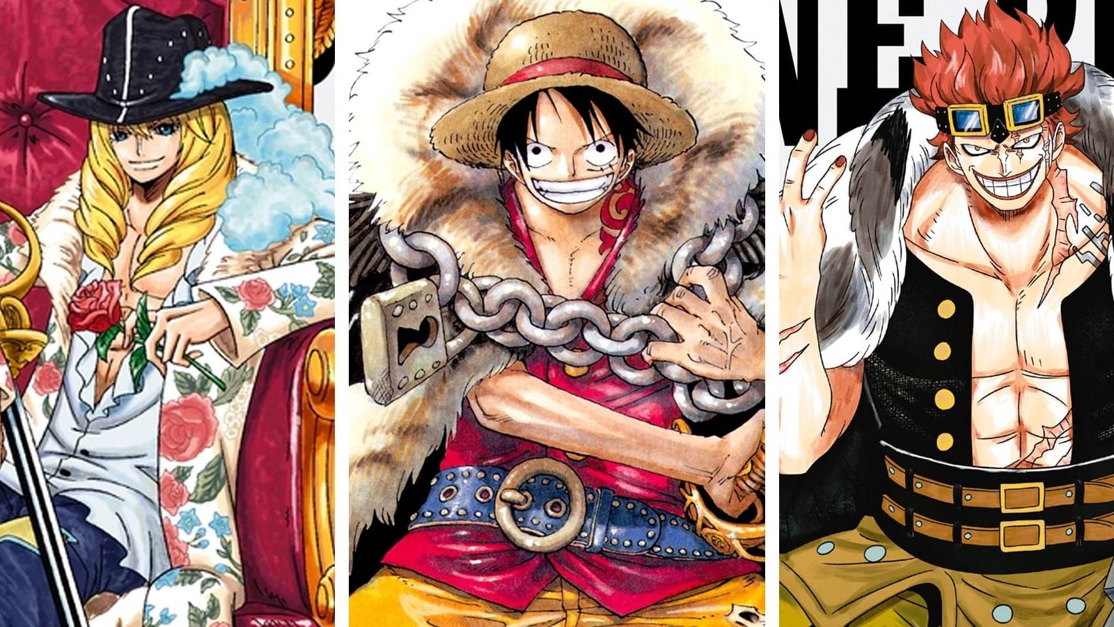 One Piece Cavendish Luffy Kid