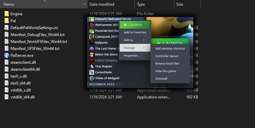Palworld - Dedicated Server Local Files Options