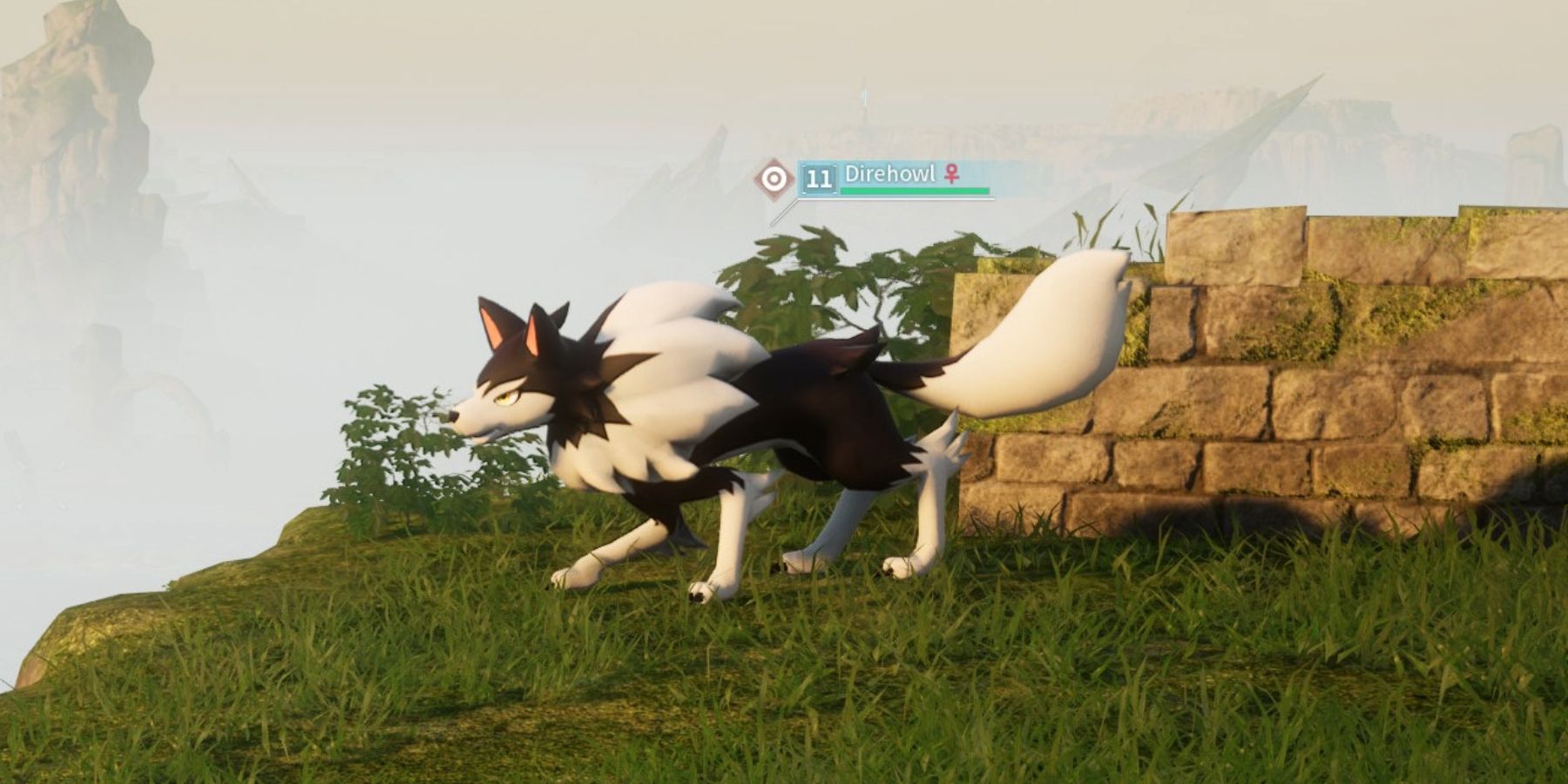Where to Find and Catch Direhowl in Palworld