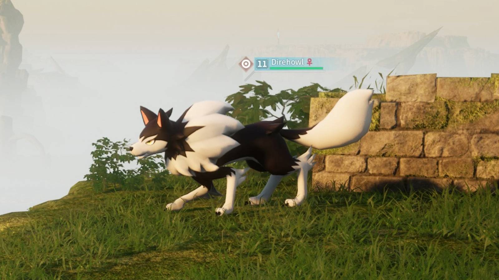 Palworld-Direhowl-Wild