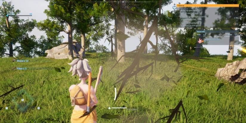 Palworld: the forest