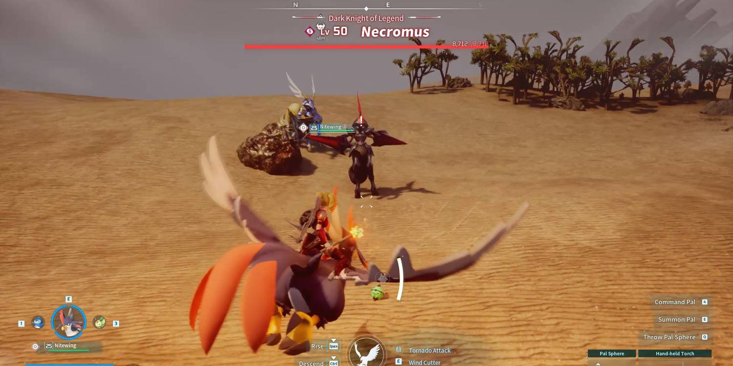 paladius paladius