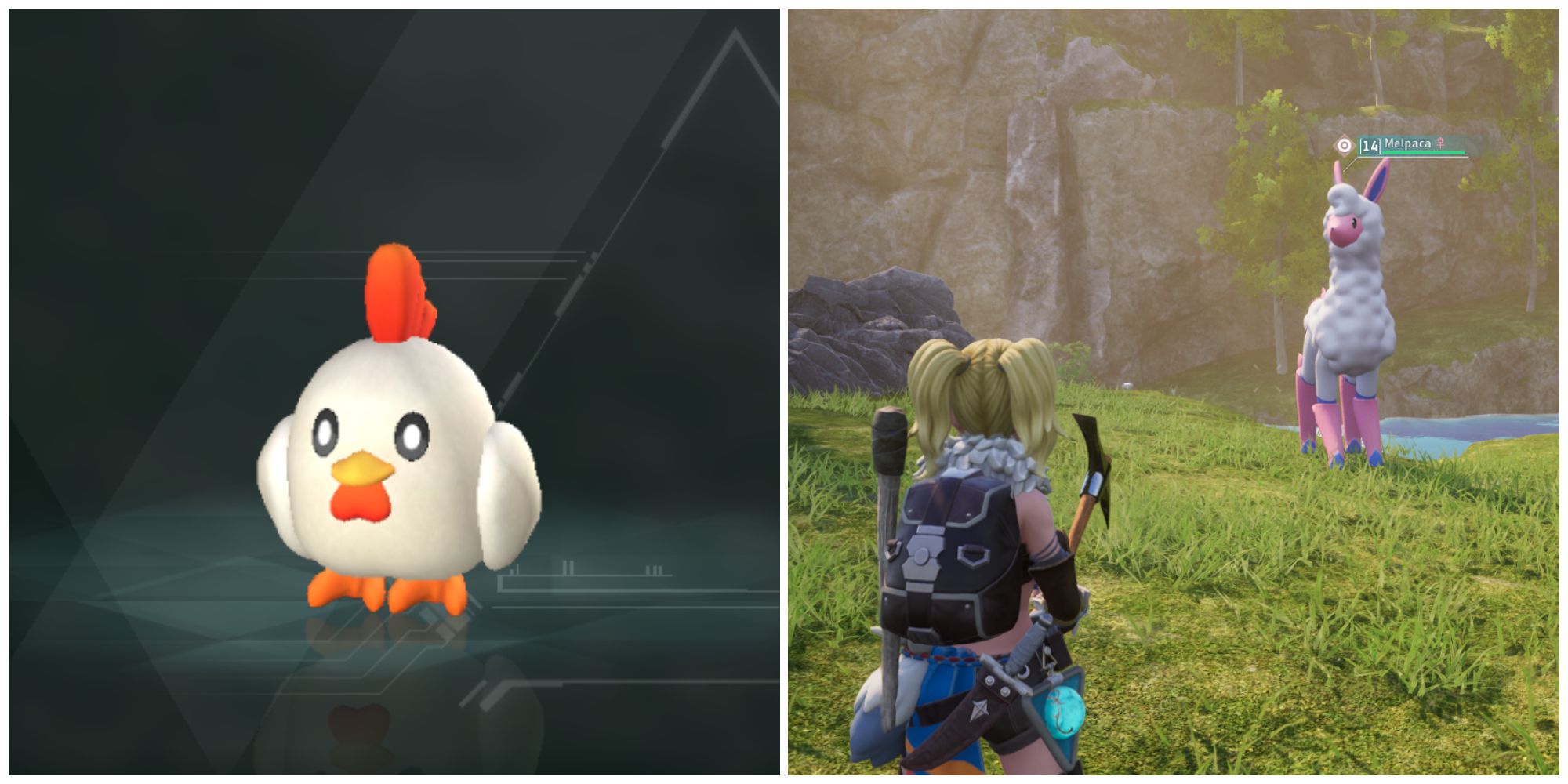Split image of a renamed Chikipi and a character in front of a Melpaca in Palworld