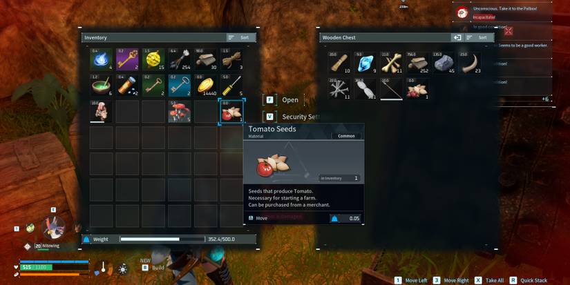 Image of some Tomato Seeds in a player's inventory in Palworld