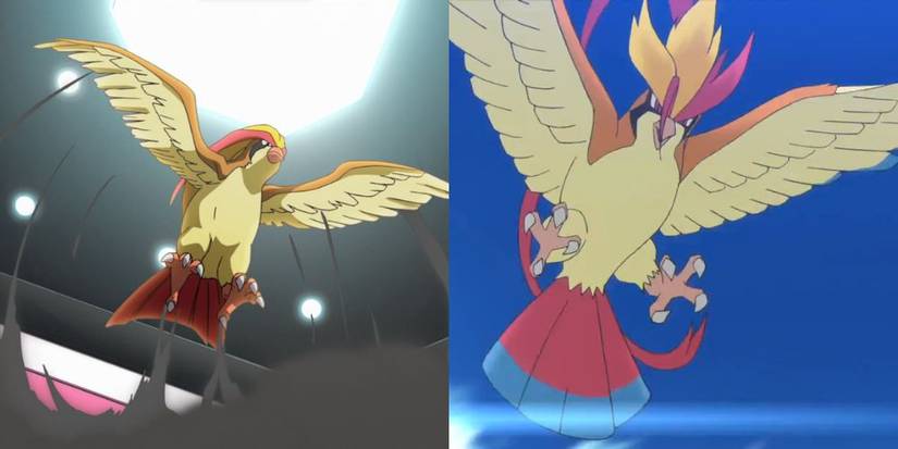 Pidgeot and Mega Pidgeot in Promotional Material.