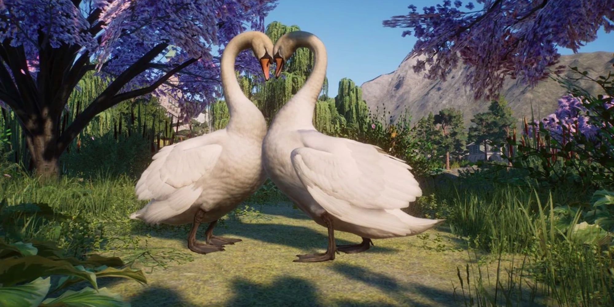 Two swans touching heads in Planet Zoo