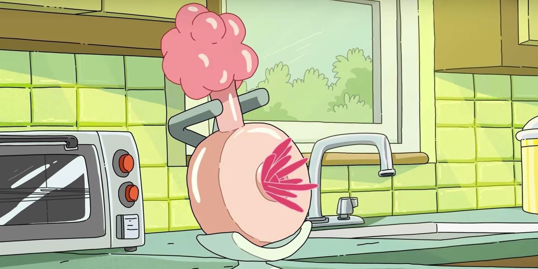 a Plumbus in a kitchen