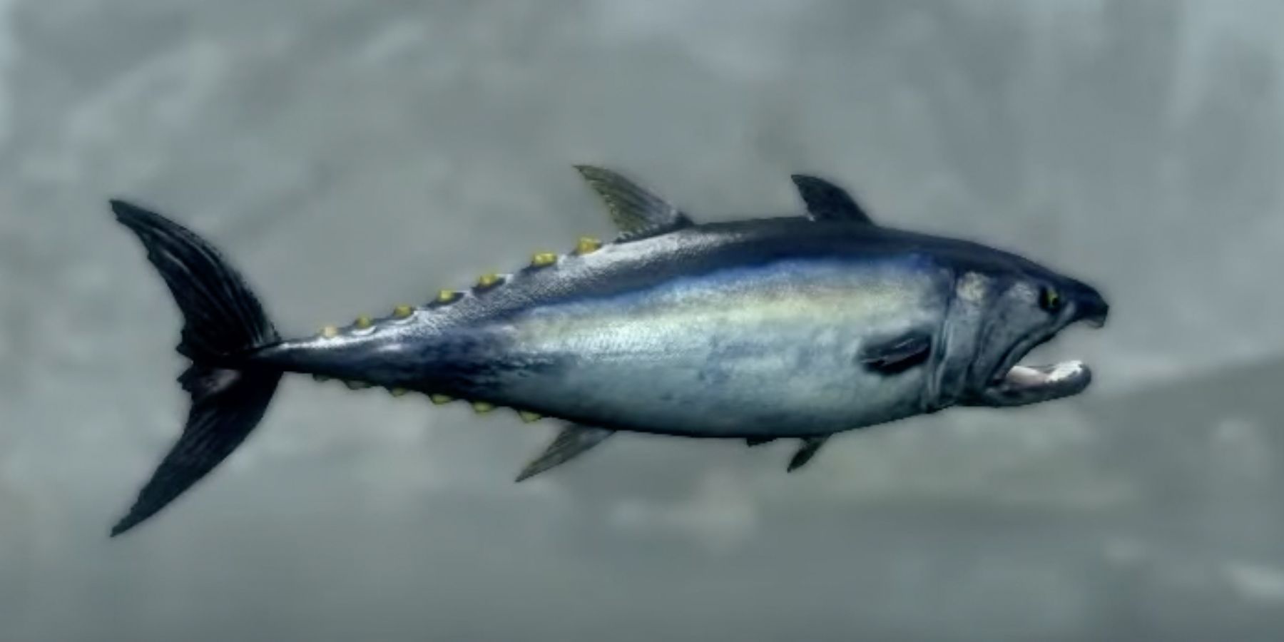 Skyrim: Pogfish