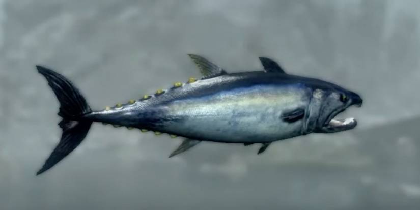 Skyrim: Pogfish