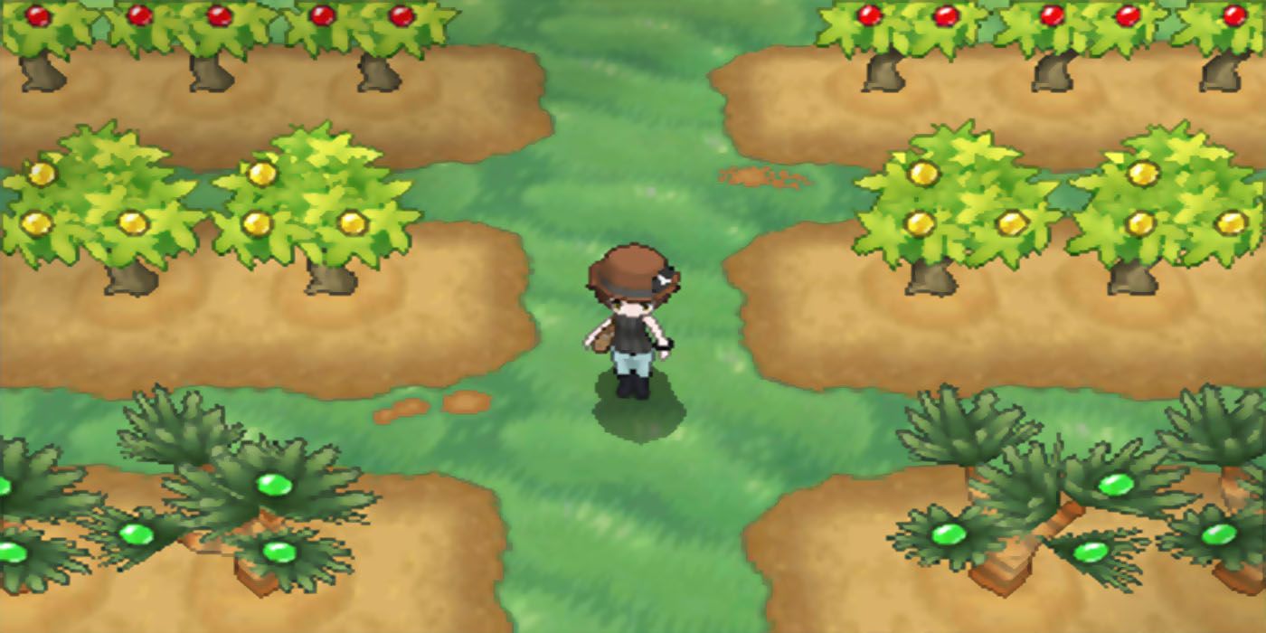 Pokemon XY Berry Fields