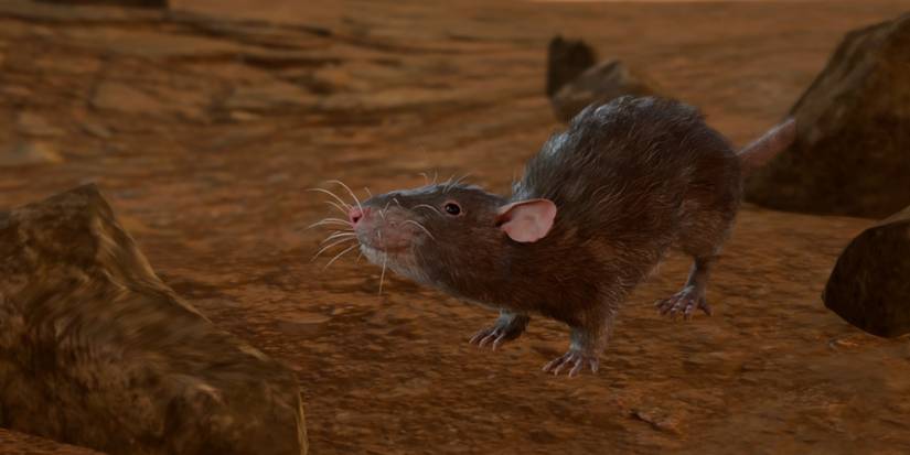 rat emerald grove baldur's gate 3