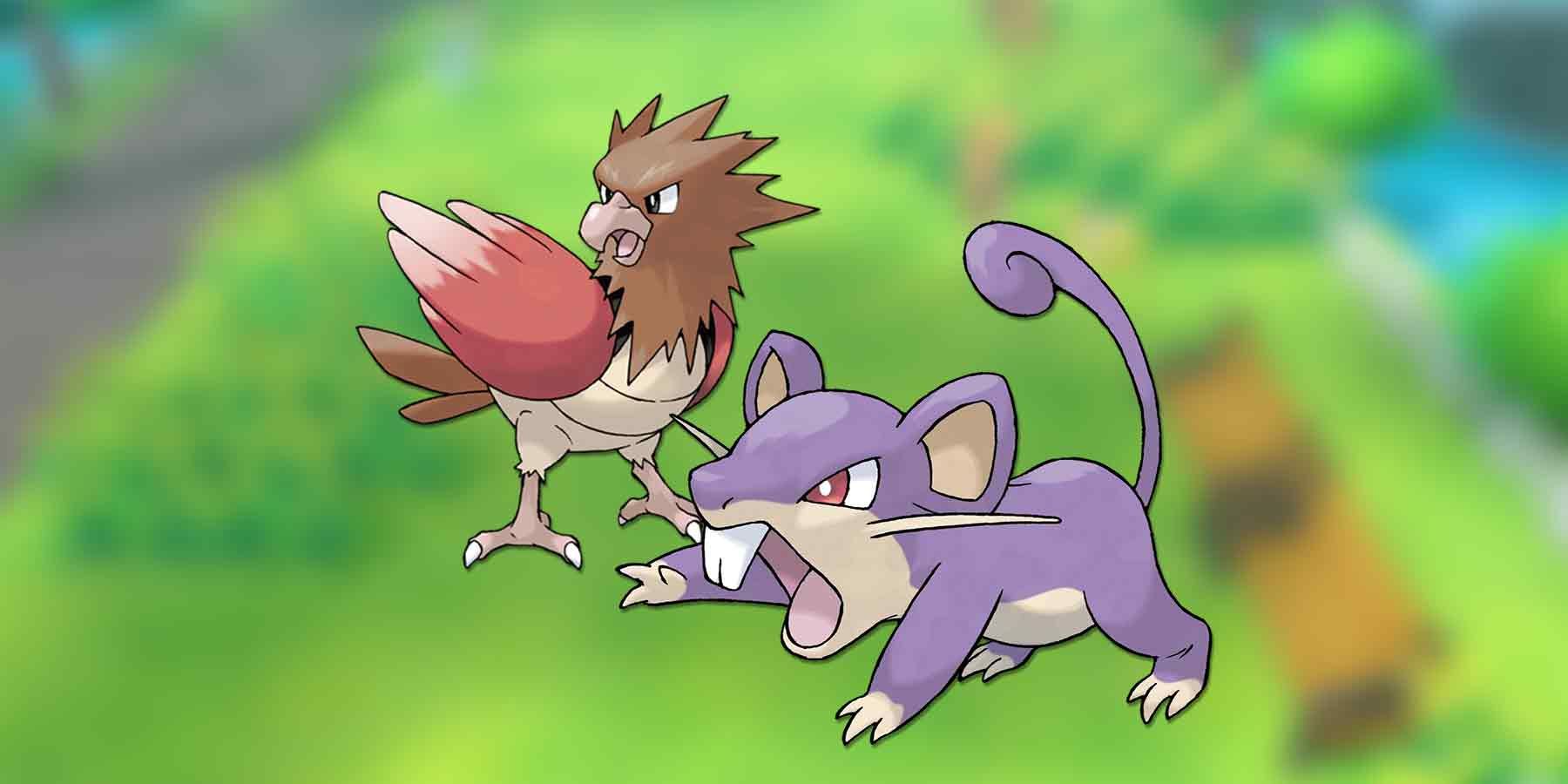 Rattata and Spearow sprites on blurred Pokemon overworld background