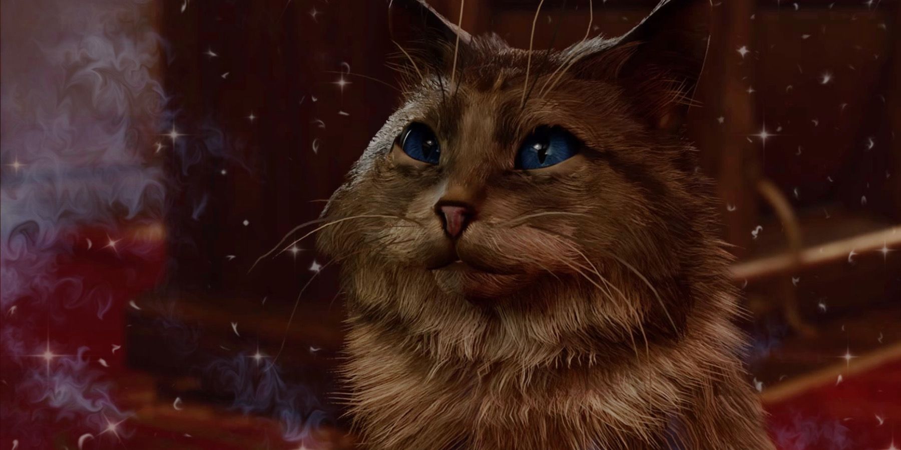 Kira the Cat with a blended background