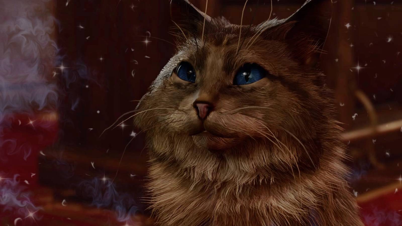 Kira the Cat with a blended background