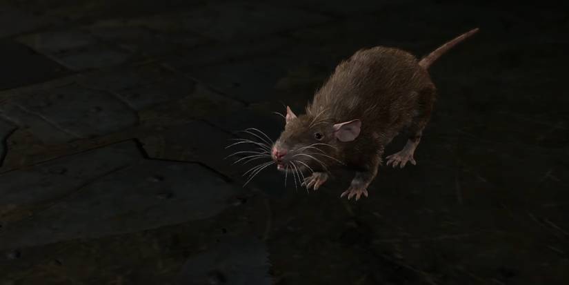 skittle baldur's gate 3