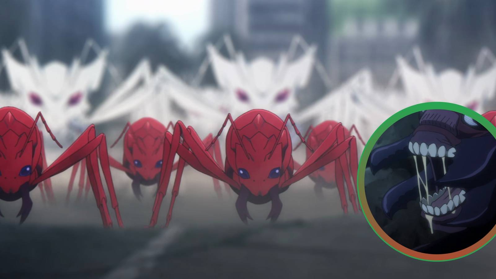 Solo Leveling Ants and Hunter x Hunter Chimera Ant Queen