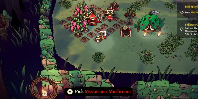 Mysterious Mushroom in Cult of the Lamb