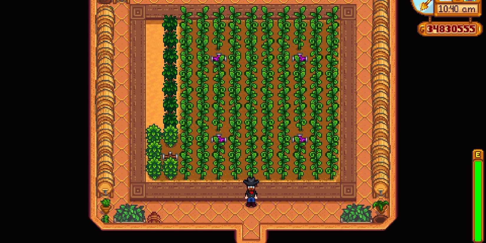 Stardew Valley Greenhouse Crops