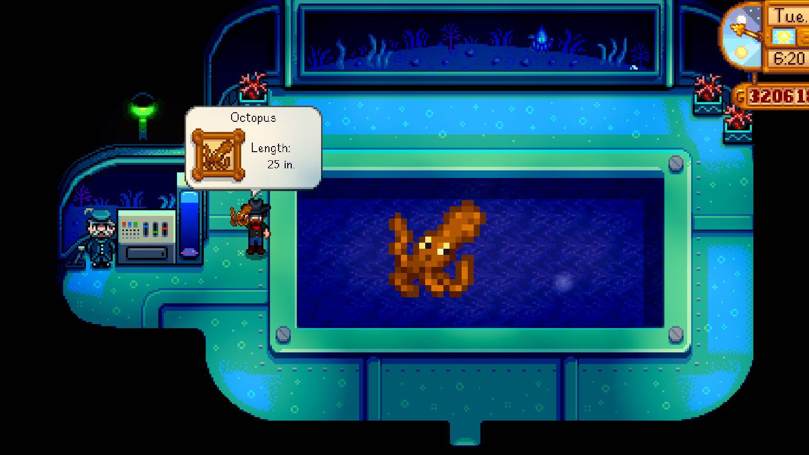Stardew Valley Octopus