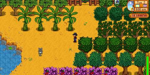 Stardew Valley Orchard