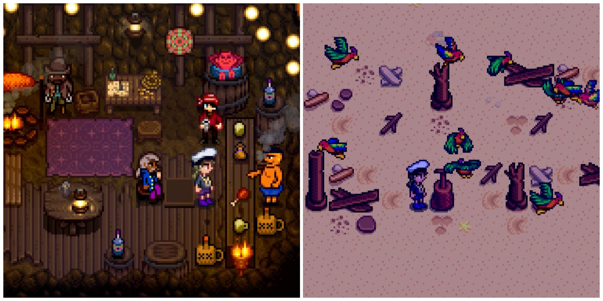 Split image of the Pirate Cove and some parrots fixing up the Island Resort to unlock the Pirate Cove in Stardew Valley